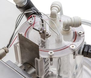 Fishscaling assessment